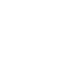 Bethel University